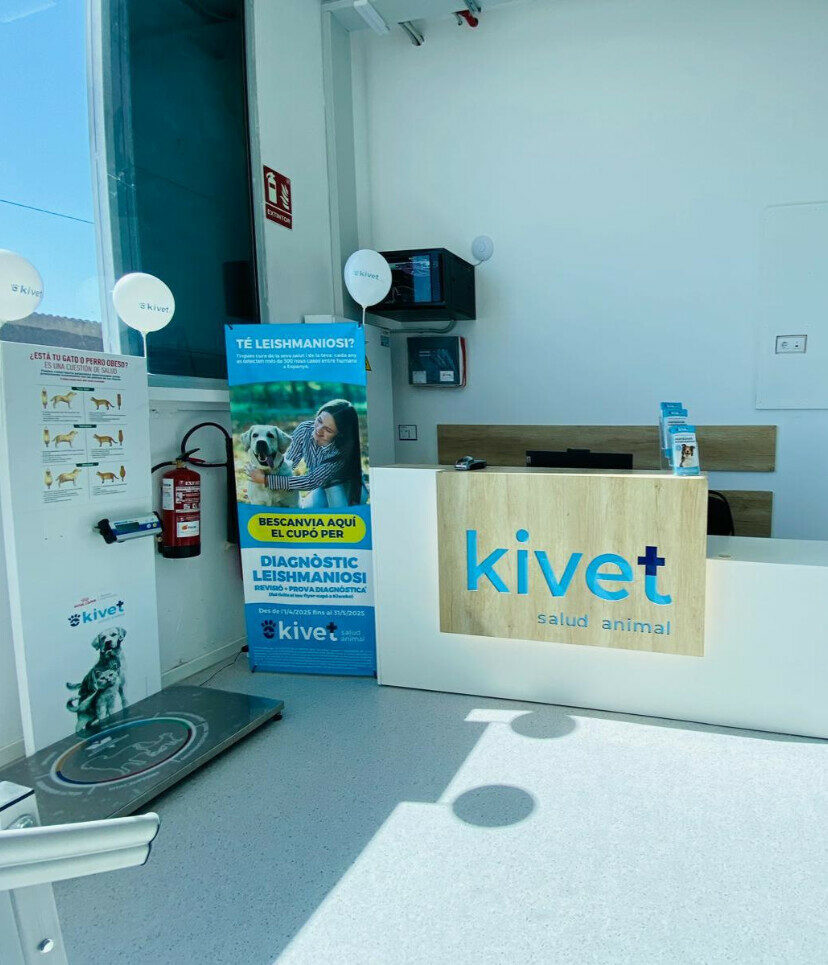 Kivet Santa Susanna
